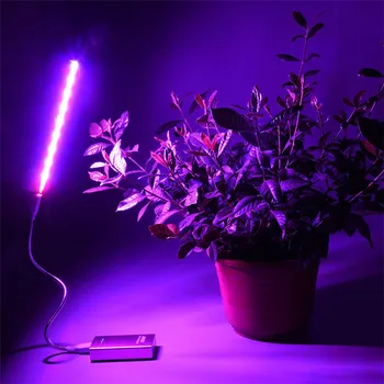 5 Led Svjetiljka Za Uzgoj USB, Pun Spektar, Crvena i Plava Fito-Lampa Za Uzgoj, 21 led Lampa Za Sobnoj Фитолампы Za Biljke, Cvijeće, Sadnice, Staklenici
