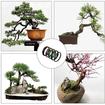 Žica za bonsai, Žica za učenje Stolarija, Aluminijske Žice za bonsai s кусачкой, Alat za bonsai za učenje drva i rukotvorina svojim rukama